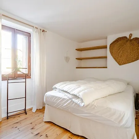 Maison Avec Jardin